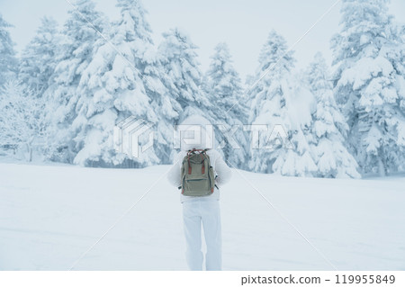 Woman tourist sightseeing Snow monster in Winter day at Mount Zao, Yamagata prefecture, Japan. Happy Traveler walking on powder snow covered in frosty weather. Travel, Adventure and Vacation 119955849