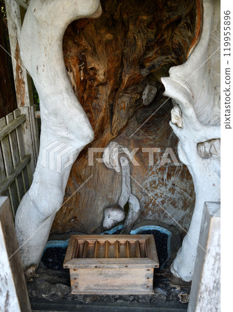 Kanahebisui Shrine Sacred Tree 119955896