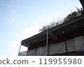 Rooftop garden 119955980