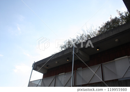 Rooftop garden Rooftop garden 119955980