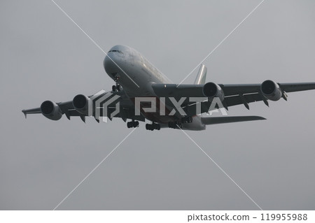 廣體客機 119955988