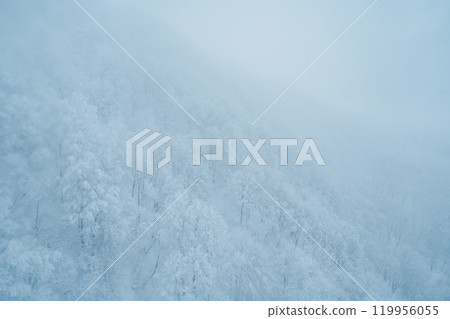 View of Snow monster in Winter day at Mount Zao ski resort, Yamagata prefecture, Japan. powder snow covered in frosty weather. Travel, Adventure and Vacation background 119956055