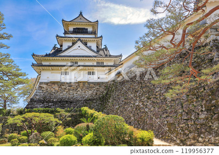 Kochi Castle, Important Cultural Property, Historic Site, Japan's Top 100 Castles, Castle Tower, Stone Walls, Kochi Prefecture 119956377