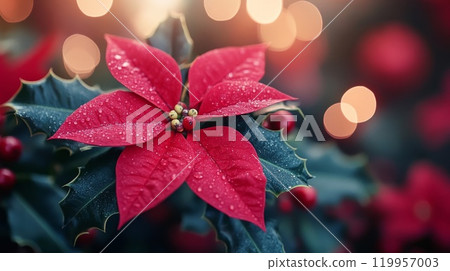 Poinsettia and Holly Poinsettia and Holly 119957003