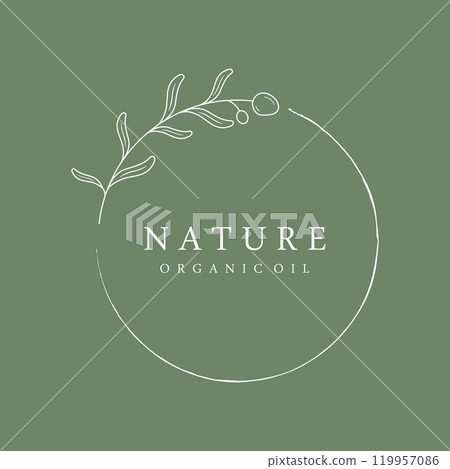 Botanical logo template Hand drawn natural olive leaf and fruit .Herbal, olive oil,cosmetic or beauty. 119957086