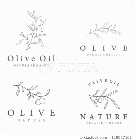 Botanical logo template Hand drawn natural olive leaf and fruit .Herbal, olive oil,cosmetic or beauty. 119957101