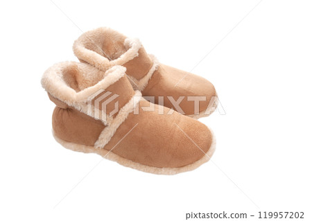 Warm room shoes [white background, cutout] 119957202