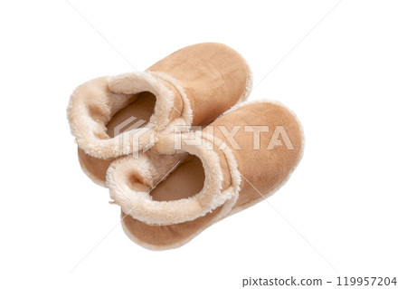 Warm room shoes [white background, cutout] 119957204