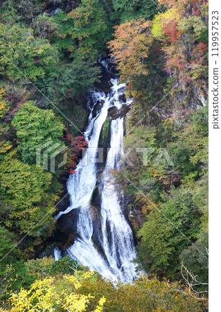 The leaves will soon turn red. The scenery of Kirifuri Falls. The leaves will soon turn red. The scenery of Kirifuri Falls. 119957523
