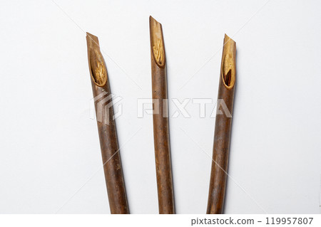 Set of calligraphy reeds isolated over white background 119957807