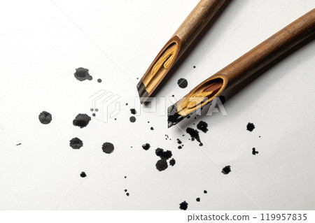 Calligraphy reeds covered ink on white paper 119957835