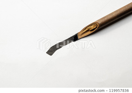 Calligraphy reeds covered ink on white paper Calligraphy reeds covered ink on white paper 119957836