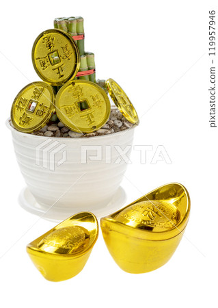 Chinese lucky bamboo (Dracaena sanderiana) on white pot with Chinese coins and golden ingots isolated over white background 119957946