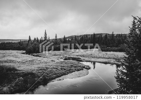 The Jizerka River winds gently through the tranquil landscape of the Jizera Mountains, showcasing autumn's muted colors and the stillness of nature in Czechia's serene environment. 119958017