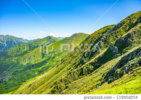 The lush green slopes of the Western Tatras showcase vibrant vegetation under a clear blue sky. This serene landscape invites hikers and nature enthusiasts to explore its beauty. The lush green slopes of the Western Tatras showcase vibrant vegetation under a clear blue sky. This serene landscape invites hikers and nature enthusiasts to explore its beauty. 119958054