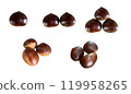 Autumn flavors: colorful chestnuts 119958265