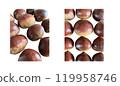 Autumn taste: Close-up of chestnuts lined up 119958746