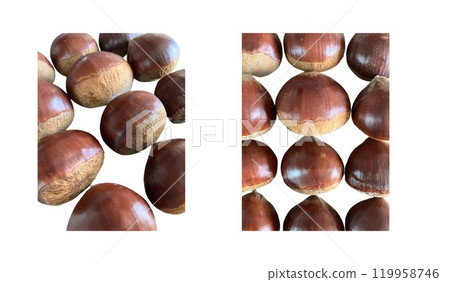 秋天的味道：排列的栗子特寫 119958746