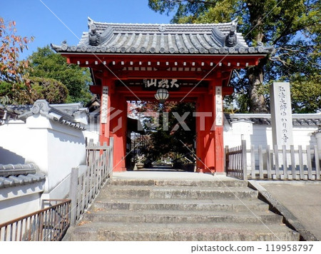 The gate of Otokuniji Temple in Nagaokakyo City 119958797
