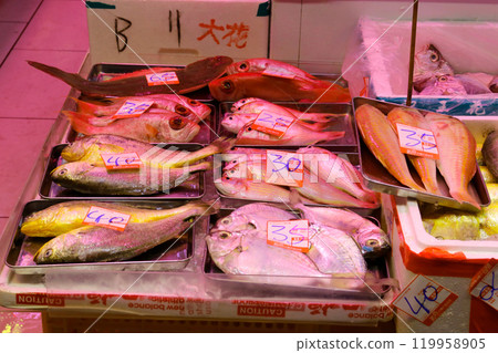 Yellow fish, also known as ishimochi, sold at a market in North Point, Hong Kong Island. Many of these fish are unfamiliar in Japan. Yellow fish, also known as ishimochi, sold at a market in North Point, Hong Kong Island. Many of these fish are unfamiliar in Japan. 119958905
