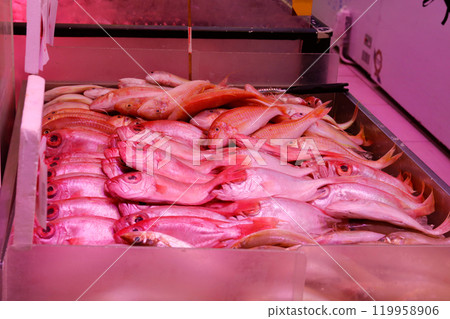 魚在香港島北角的一個市場上出售。日本有很多魚不熟悉 魚在香港島北角的一個市場上出售。日本有很多魚不熟悉 119958906