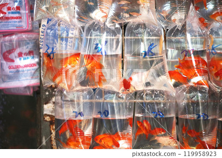 Goldfish and tropical fish sold with oxygen in a plastic bag in Hong Kong's Tsunagai (Goldfish Street) 119958923