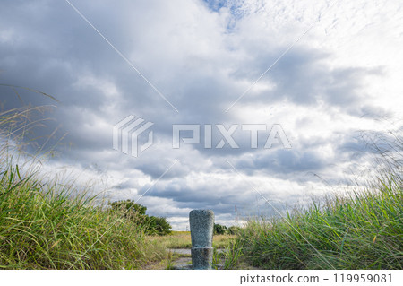 淀川公園風景枚方市口地區 淀川公園風景枚方市口地區 119959081