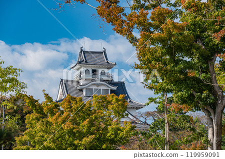 Nagahama City Toyo Park, Nagahama Castle History Museum, Nagahama City, Shiga Prefecture 119959091