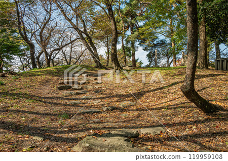 豐公園 長濱城 滋賀郡長濱市城堡遺址 119959108