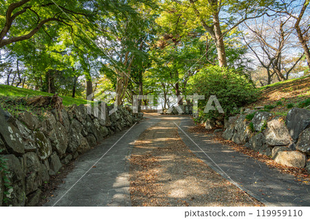 滋賀縣長濱市長濱城跡公園豐公園 119959110