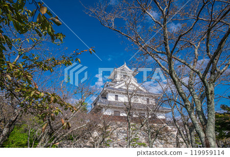 Nagahama City Toyo Park, castle tower-style structure, Nagahama Castle History Museum, Nagahama City, Shiga Prefecture 119959114