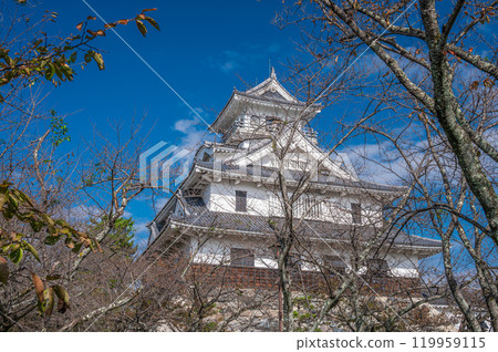 長濱市豐公園 城堡式建築 長濱城歷史博物館 滋賀縣長濱市 119959115