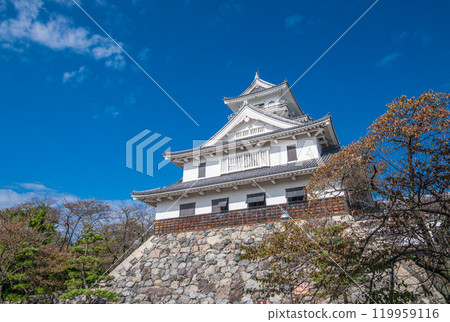 長濱市豐公園 城堡式建築 長濱城歷史博物館 滋賀縣長濱市 119959116