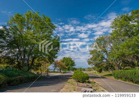 滋賀縣長濱市長濱城跡公園豐公園 119959133