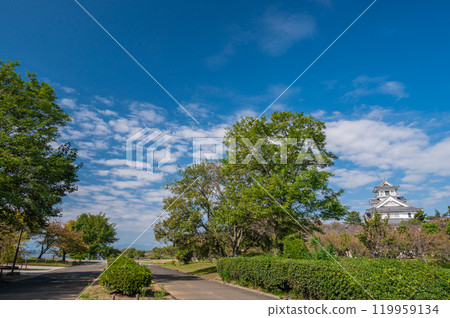 滋賀縣長濱市長濱城跡公園豐公園 119959134