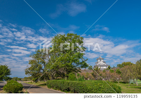 滋賀縣長濱市長濱城跡公園豐公園 滋賀縣長濱市長濱城跡公園豐公園 119959135