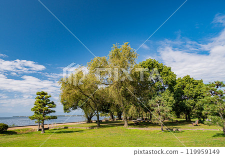 滋賀郡長濱市長濱城跡公園琵琶湖畔的豐公園 119959149