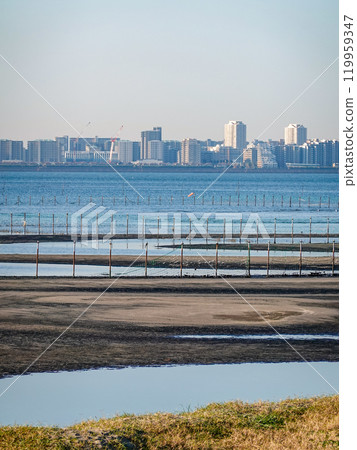 船橋三番瀨海濱公園的灘塗秋日早晨（千葉縣船橋市） 119959347