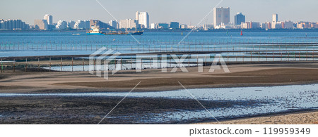 船橋三番瀨海濱公園的灘塗秋日早晨（千葉縣船橋市） 119959349
