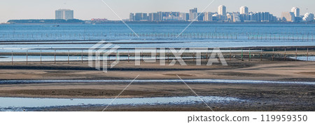 Autumn morning: The tidal flats of Funabashi Sanbanze Seaside Park (Funabashi City, Chiba Prefecture) 119959350