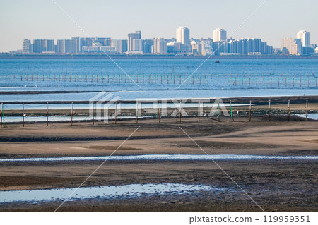Autumn morning: The tidal flats of Funabashi Sanbanze Seaside Park (Funabashi City, Chiba Prefecture) 119959351