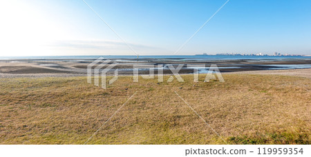 船橋三番瀨海濱公園的灘塗秋日早晨（千葉縣船橋市） 119959354