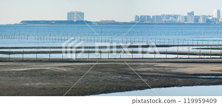 船橋三番瀨海濱公園的灘塗秋日早晨(千葉縣船橋市) 船橋三番瀨海濱公園的灘塗秋日早晨(千葉縣船橋市) 119959409