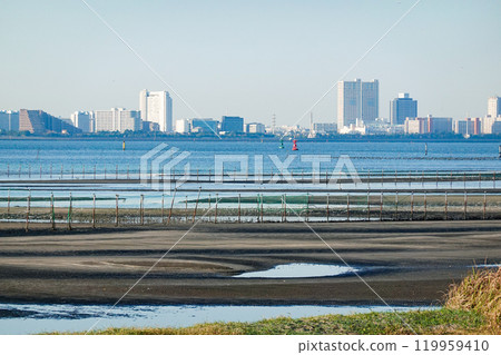 船橋三番瀨海濱公園的灘塗秋日早晨（千葉縣船橋市） 119959410