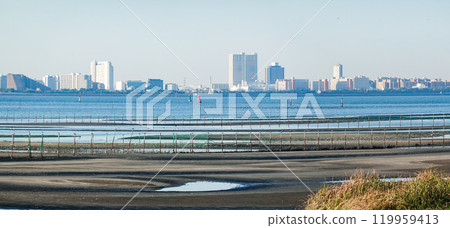 Autumn morning: The tidal flats of Funabashi Sanbanze Seaside Park (Funabashi City, Chiba Prefecture) Autumn morning: The tidal flats of Funabashi Sanbanze Seaside Park (Funabashi City, Chiba Prefecture) 119959413
