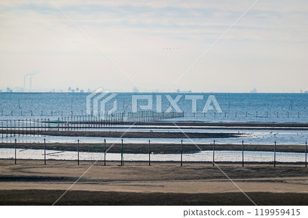 Autumn morning: The tidal flats of Funabashi Sanbanze Seaside Park (Funabashi City, Chiba Prefecture) 119959415