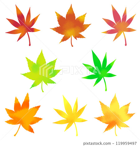 多彩的秋葉設置插畫素材 多彩的秋葉設置插畫素材 119959497