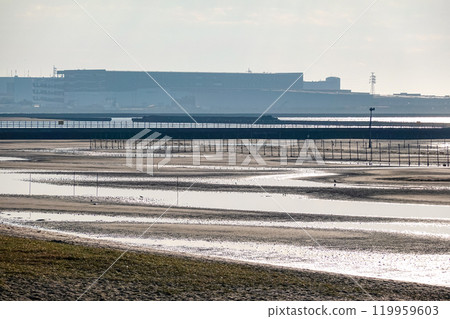 Autumn morning: The tidal flats of Funabashi Sanbanze Seaside Park (Funabashi City, Chiba Prefecture) 119959603