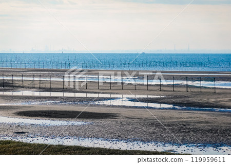 船橋三番瀨海濱公園的灘塗秋日早晨（千葉縣船橋市） 119959611