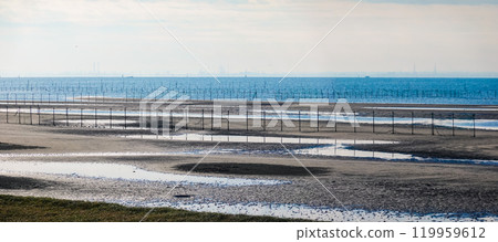 Autumn morning: The tidal flats of Funabashi Sanbanze Seaside Park (Funabashi City, Chiba Prefecture) 119959612